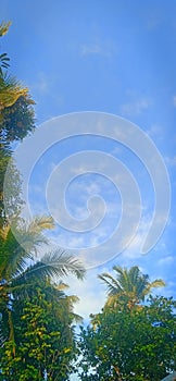 Clouds , Bright, sky, blue , nature