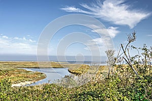 Clouds, bushes, reeds and the shoreline