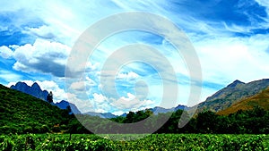 Clouds, CapeTown, Southafrica, Tree, Landscape