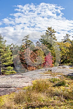 Clouds, colourful leaves and rocks, Beausoleil Island, Ontario, Canada