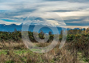 Rainier Cloud Cover 5