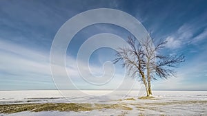 Clouds drifting over snowy lake with tree