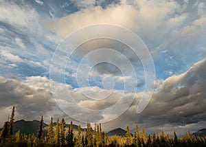 Clouds and evening light