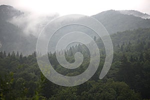 Clouds and fog in the gorge forested mountains