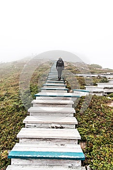 Clouds and fog over Gulf St. Lawrence from boardwalk Skyline Trail in Cape Breton Highlands National Park, Nova Scotia