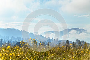 Clouds of fog over mountains, lonely house and yellow flowers in the foreground.