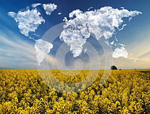 Clouds in the form of a world map over a rapeseed field. Travel and landscape concept