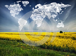 Clouds in the form of a world map over a rapeseed field. Travel and landscape concept