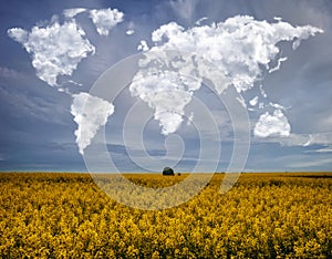 clouds in the form of a world map over a rapeseed field. Travel and landscape concept