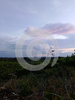 Clouds formed yesterday afternoon on the outskirts of Sanggau city.