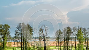 Clouds forming over trees, green field and swamp. Spring timelapse