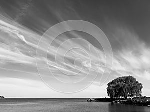 Clouds hang over Lake Erie and accentuate Cleveland`s Favorite Tree - OHIO - USA