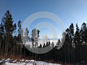 Clouds inversion from mountains. Slovakia