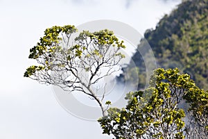 Clouds At Kalalau Lookout, Kauai