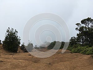 Clouds at Kalalau Lookout in Waimea Canyon on Kauai Island, Hawaii.