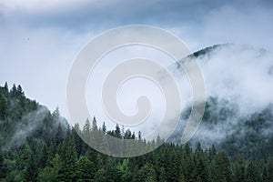 Clouds lays on a mountain