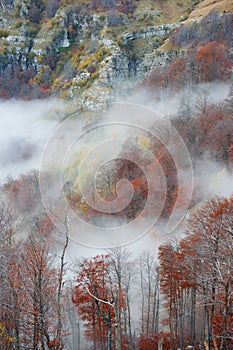 Clouds in the mountain