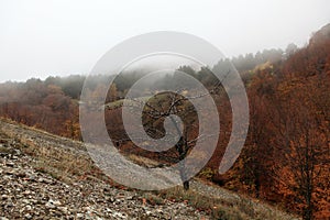 Clouds on the mountain Demerdji.