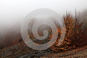 Clouds on the mountain Demerdji.