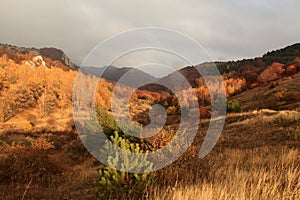 Clouds on the mountain Demerdji.