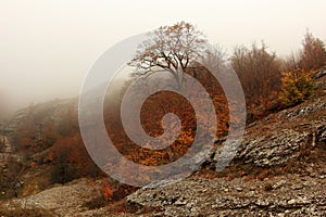 Clouds on the mountain Demerdji.