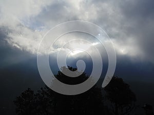 Clouds and Mountain valley plants