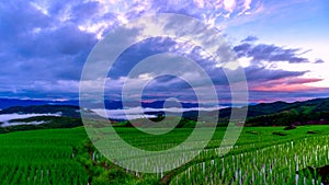 Clouds moving over the rice terrace fields at Pa Bong Piang village Chiang Mai, Thailand