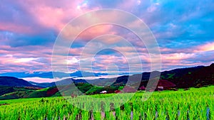 Clouds moving over the rice terrace fields at Pa Bong Piang village Chiang mai, thailand