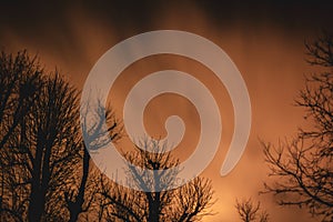 Clouds moving quickly over a dramatic night sky behind trees