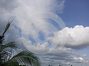 Clouds | nature | blue | sky | beauty | beautiful | coconut tree