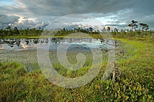 Clouds observingn over swamp in Latvia