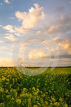 Clouds over the Dutch countryside are illuminated by the setting sun