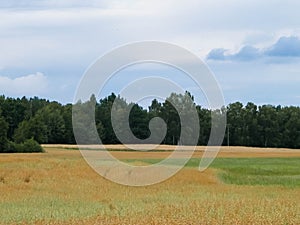 Clouds over field in Kashubia