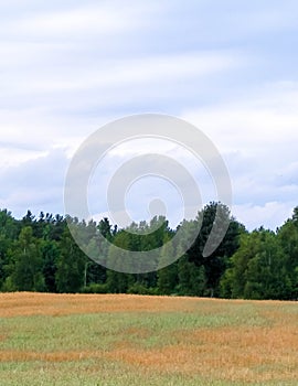 Clouds over field in Kashubia