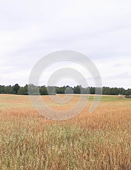 Clouds over field in Kashubia