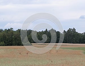 Clouds over field in Kashubia