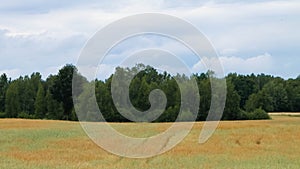 Clouds over field in Kashubia