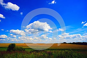 Clouds over the field . Summer landscape.