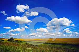 Clouds over the field . Summer landscape.