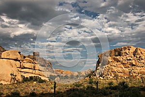 Clouds Over Joshua Tree