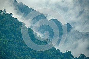 Clouds over montane forests at Indo-Bhutan border