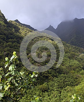 Clouds over a mountain landscape. Tahiti. Polynesia