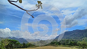 Clouds over mountainous viewed from Asalaitula forest in Venilale, Timor-Leste. photo