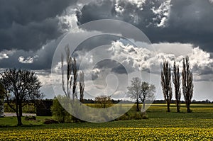 Clouds over field