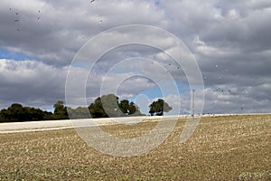 Clouds over recently tilled farmland