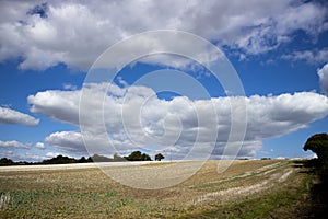 Clouds over recently tilled farmland photo