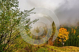 Clouds over a road in autumn with a yellow tree photo