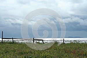 clouds over the sea, wildlife north