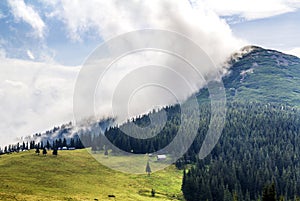 Clouds over top of a mountain with green forest and grass meadow