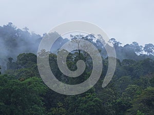 Clouds over tropical jungle in Kuala Tahan (Taman Negara National Park in Malaysia)